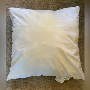 West Elm 24x24 down alternative throw pillow